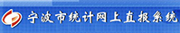 宁波市统计网上直报系统